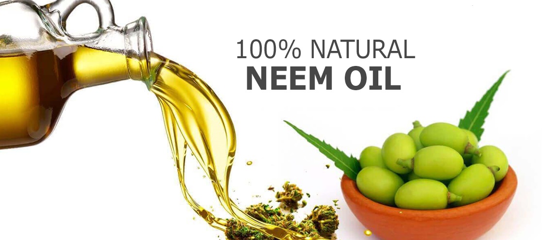 Neem Oil